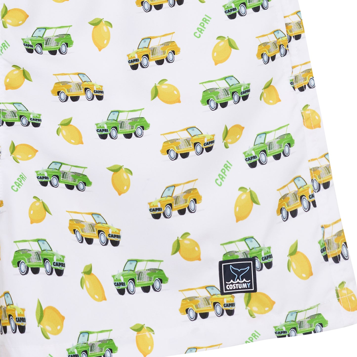 Lemon Car Costume