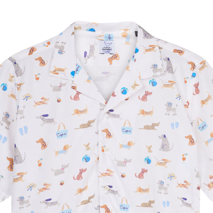 Hawaiana Matisse
