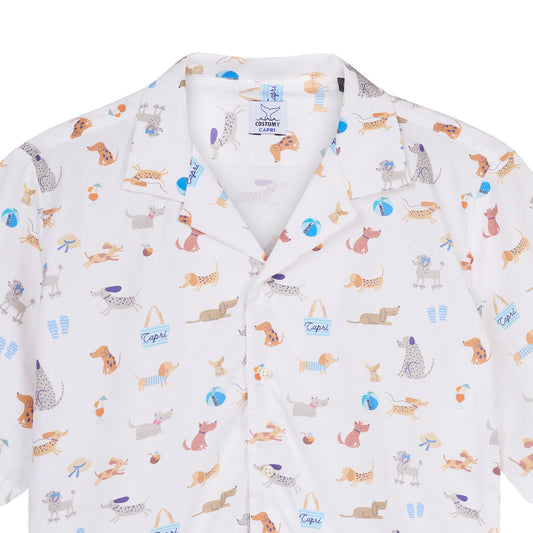 Hawaiana Matisse